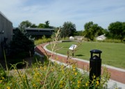 park plants